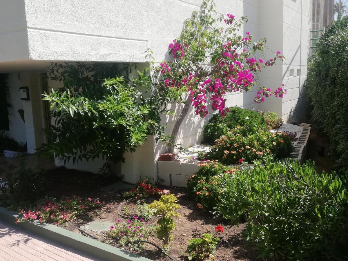 Cancun III Solo Familias Serviplaya Gandia Ngoại thất bức ảnh